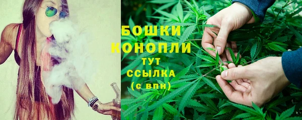 ГАЛЛЮЦИНОГЕННЫЕ ГРИБЫ Алзамай